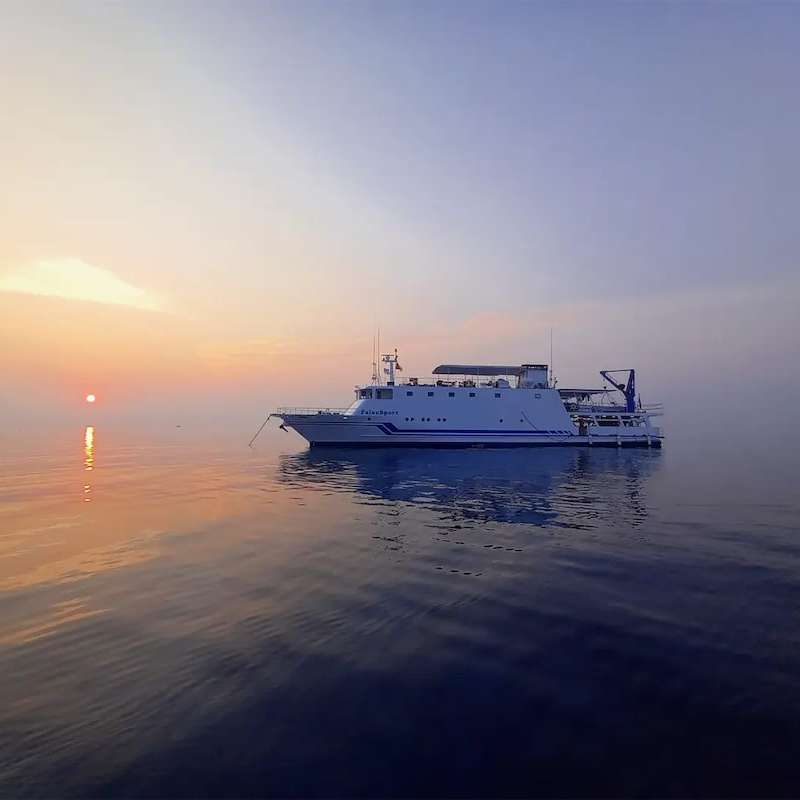 PalauSport