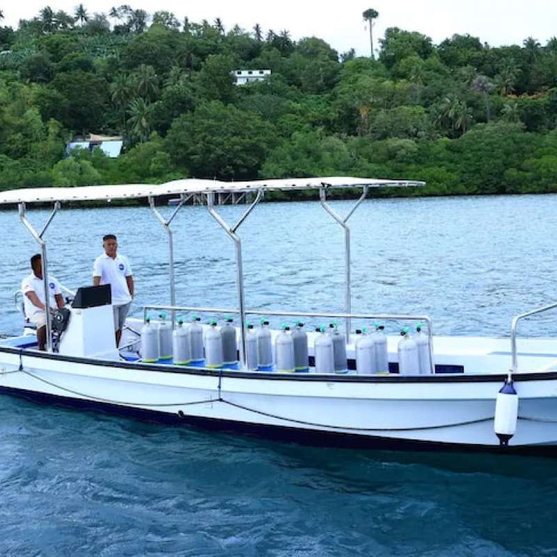 PalauSport