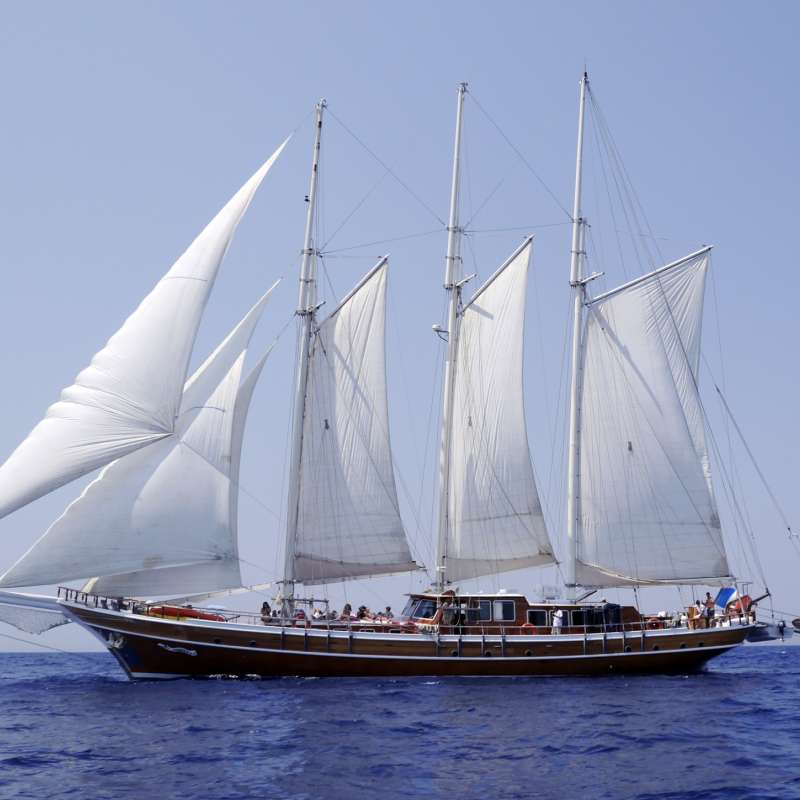 Pearl 111