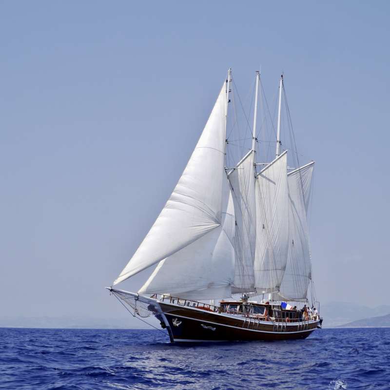 Pearl 111