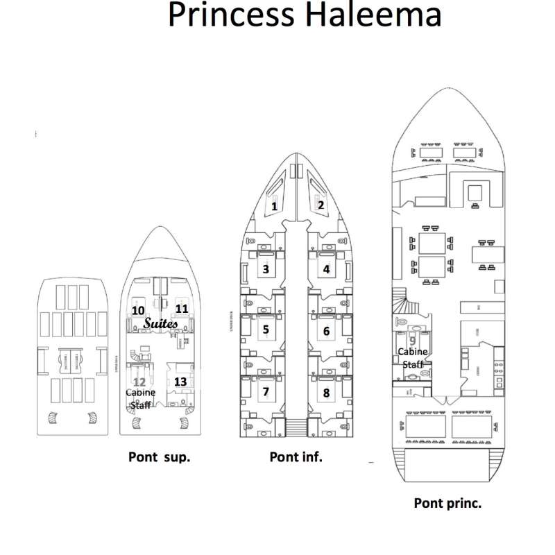 Princess Haleema