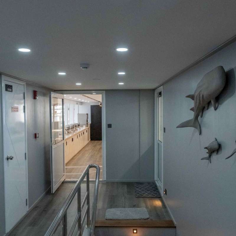 Princess Maani Princess Maani