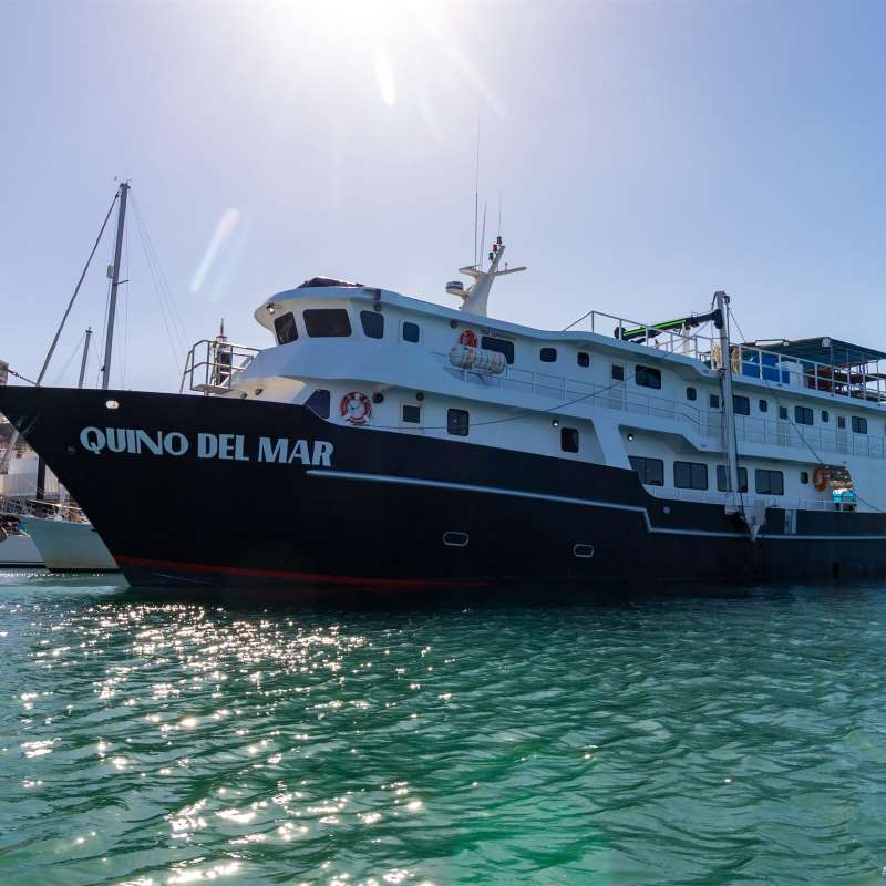 Quino Del Mar