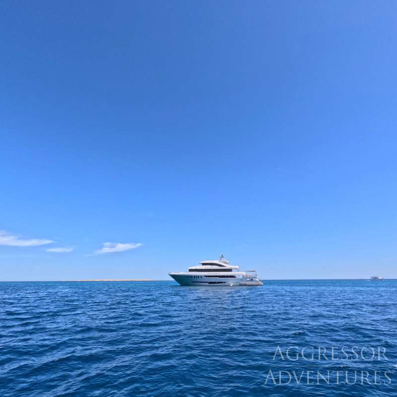 Red Sea Aggressor 5