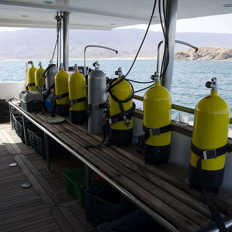 Oman Explorer