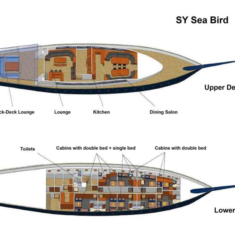 Sea Bird Sea Bird