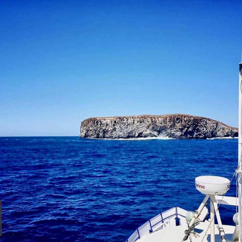Sea Escape