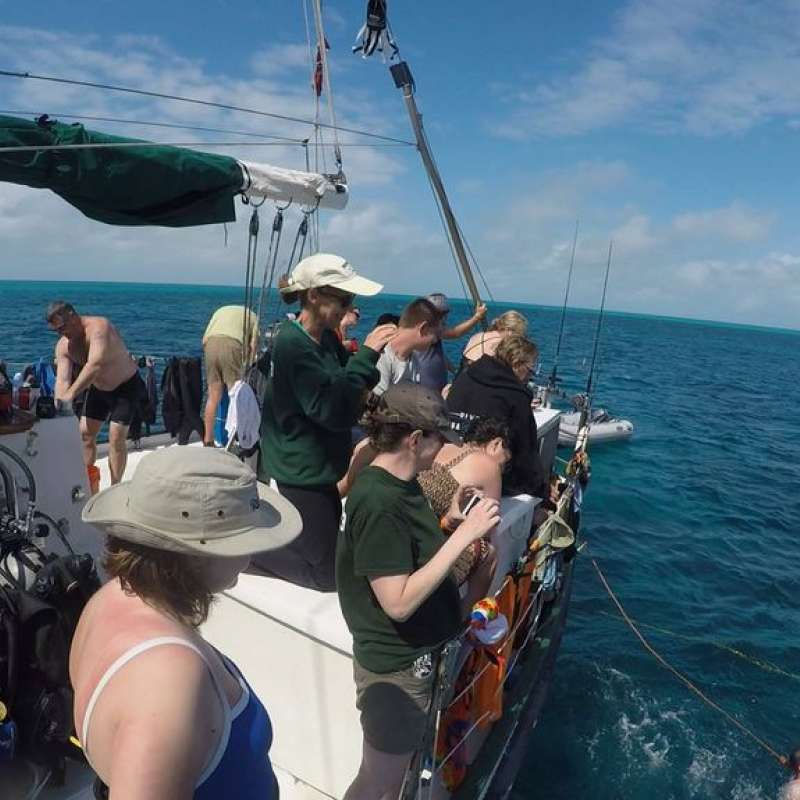 Sea Explorer
