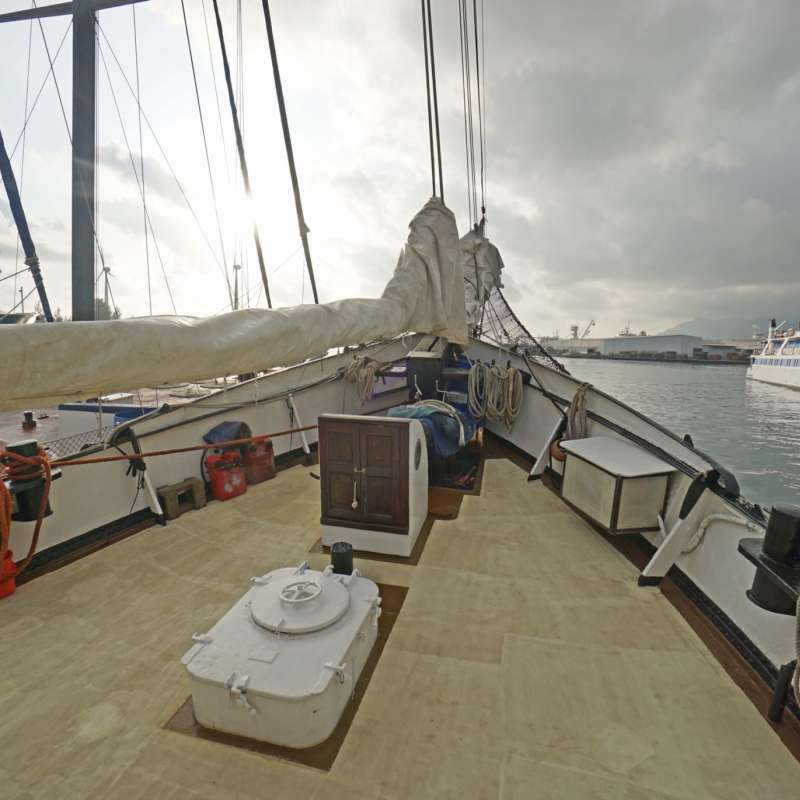 Sea Pearl
