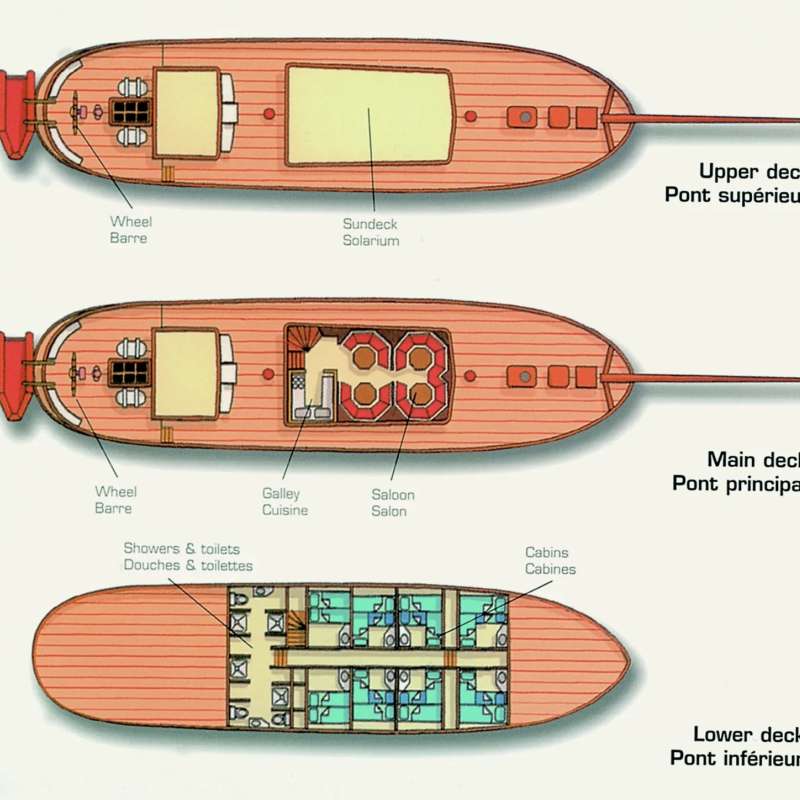 Sea Pearl