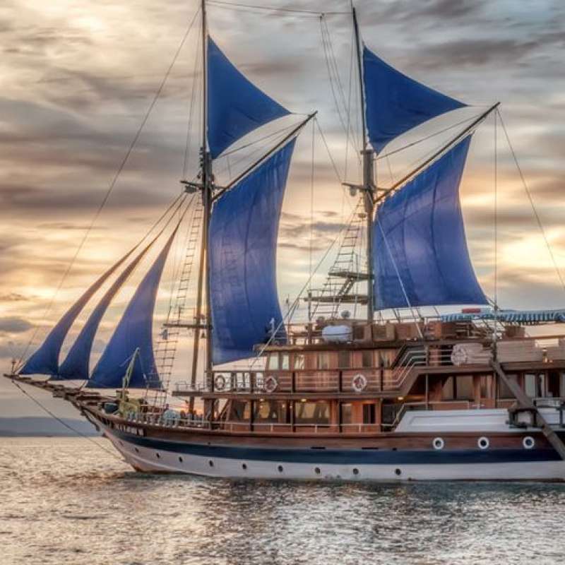 Sea Safari 6