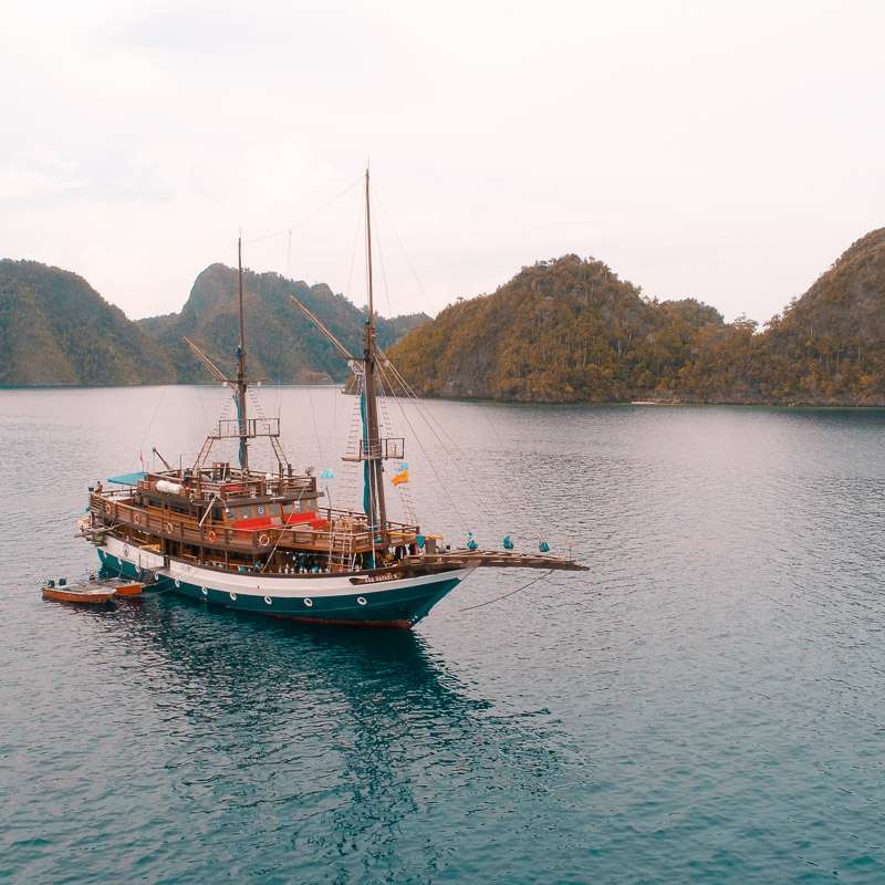 Sea Safari 8