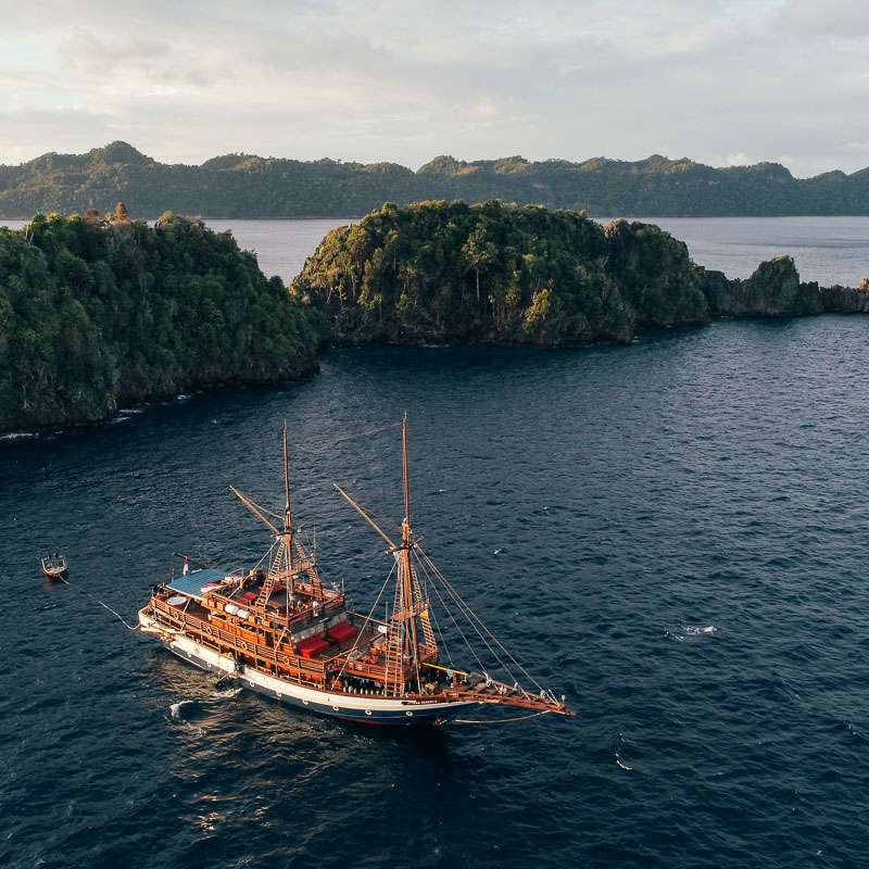 Sea Safari 8