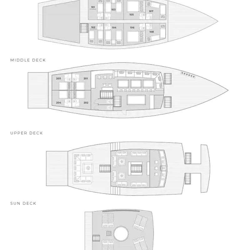Sea Safari 8