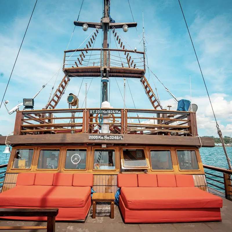 Sea Safari 8