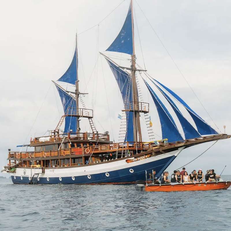 Sea Safari 8