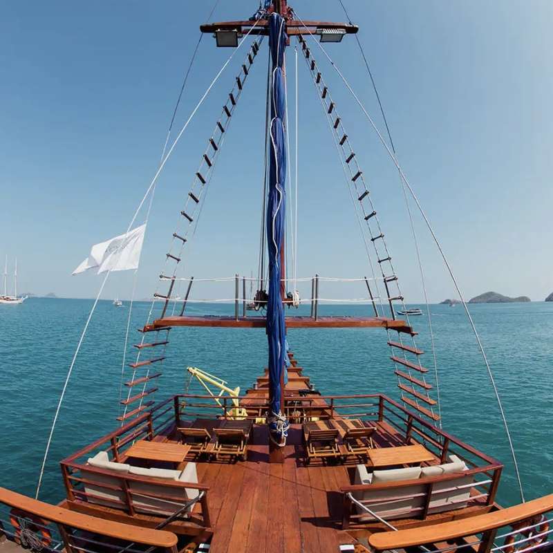 Sea Safari 6