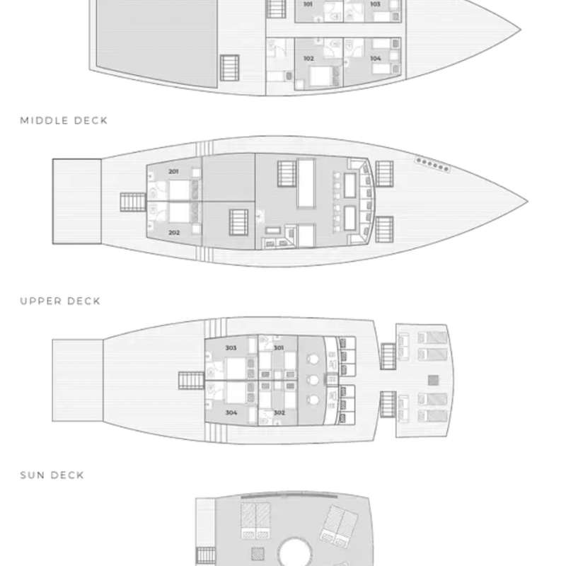 Sea Safari 6