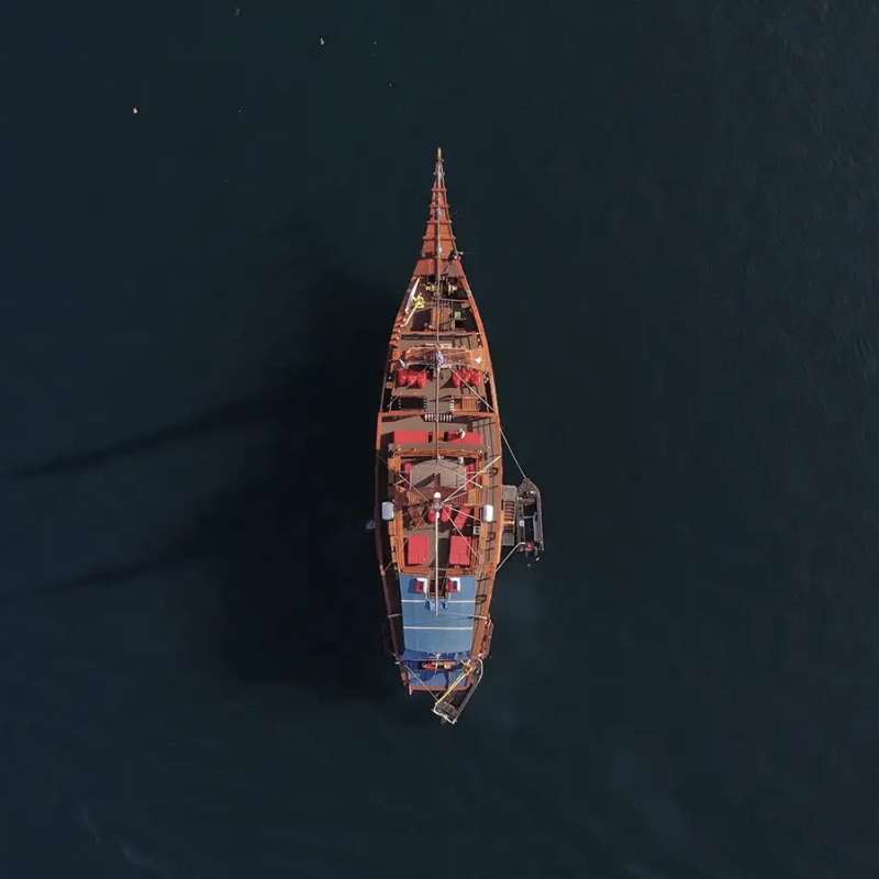 Sea Safari 6