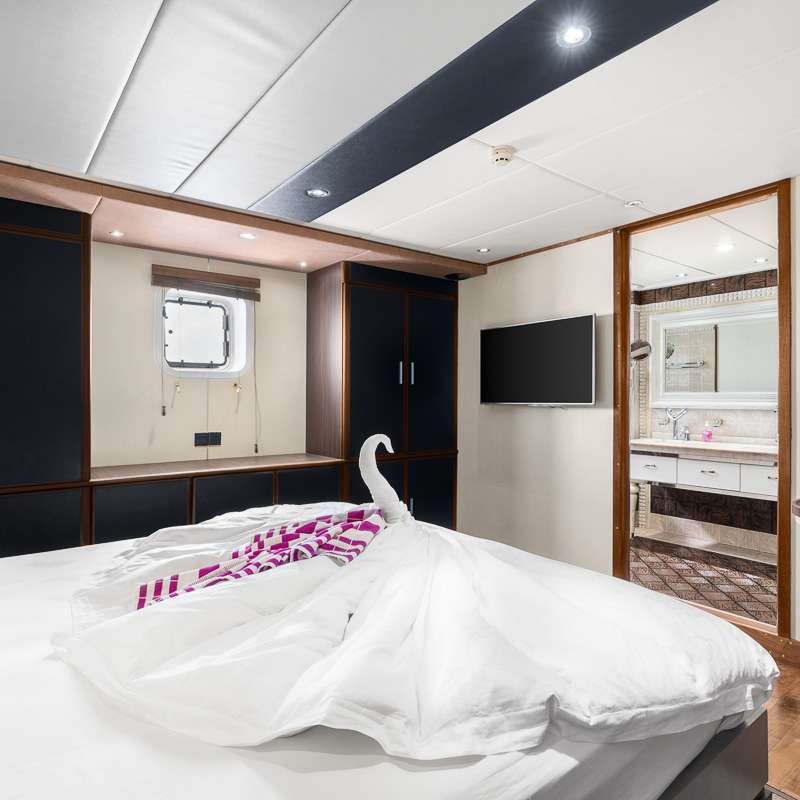 Seafari Explorer 2