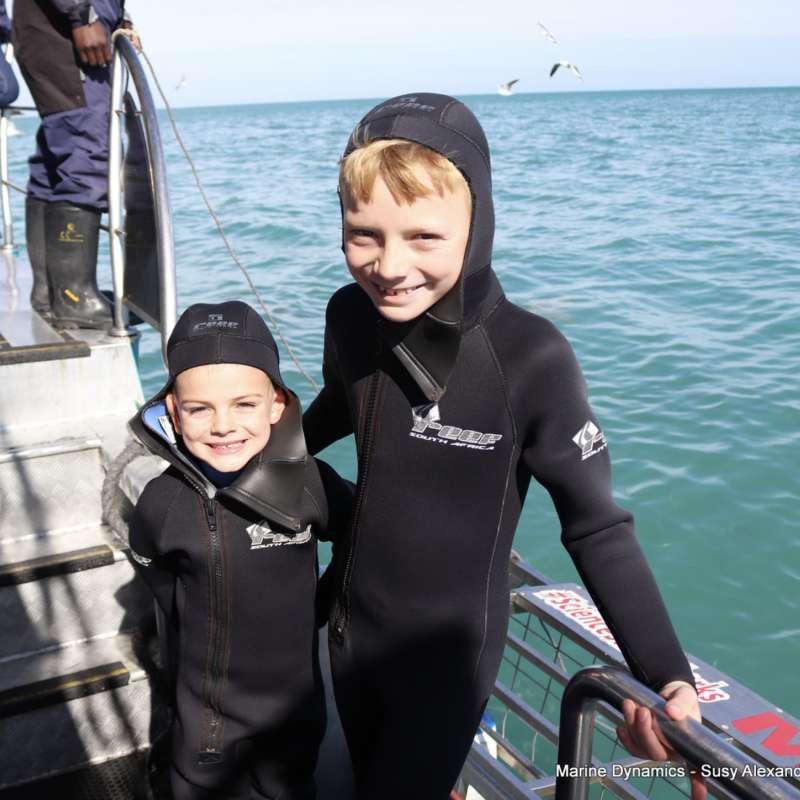 Marine Dynamics