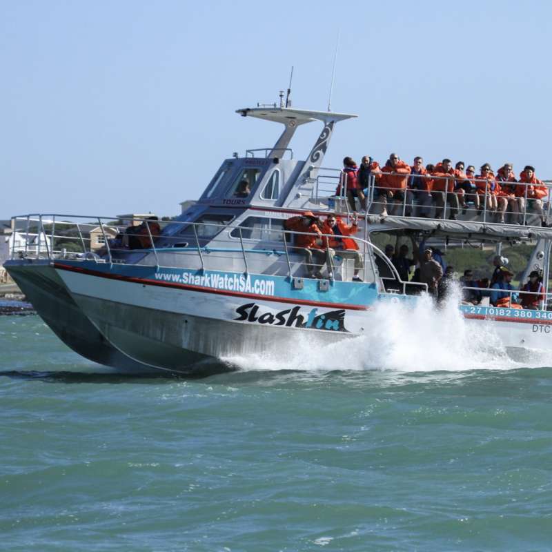 Marine Dynamics
