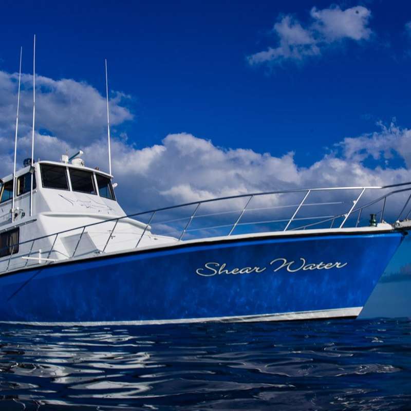 Shear Water