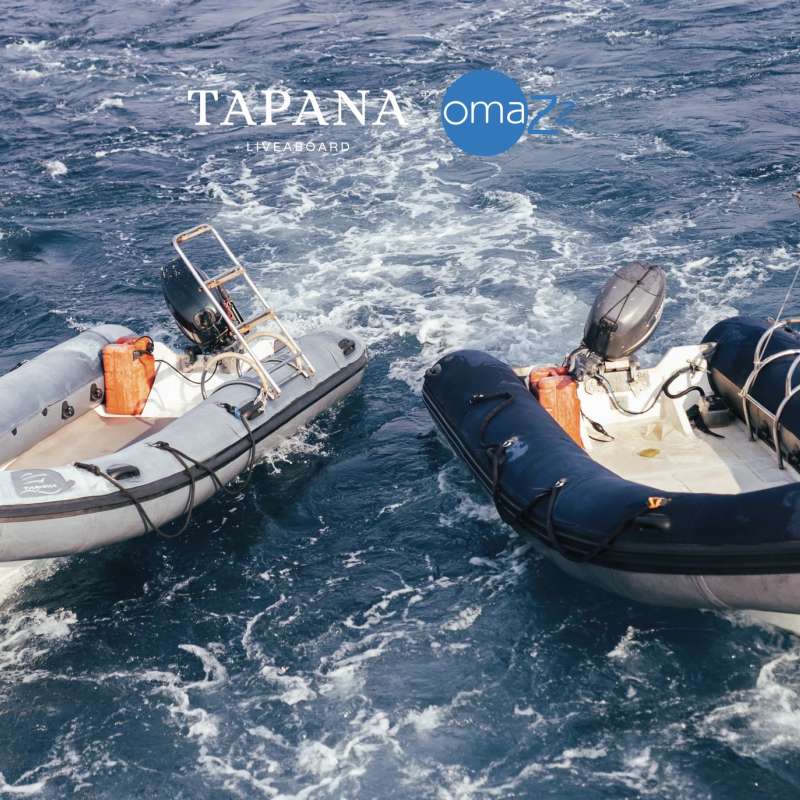 Tapana Catamaran