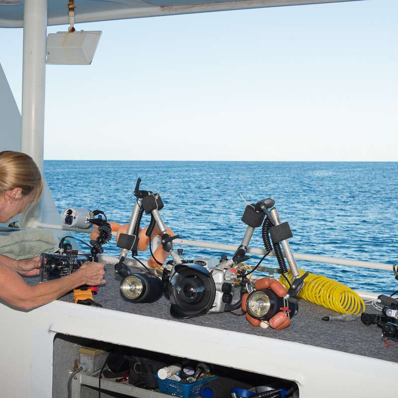 Turks and Caicos Explorer 2 Turks and Caicos Explorer 2